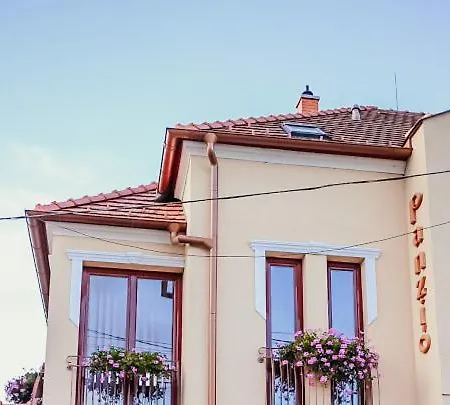 Var Park Panzio Bed & Breakfast 3*